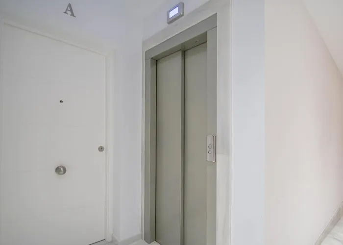 La Magnolia De * Cádiz